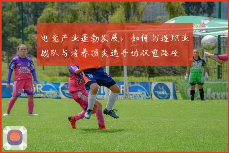 电竞产业蓬勃发展，如何打造职业战队与培养顶尖选手的双重路径