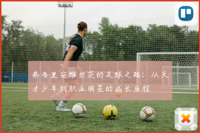 弗洛里安维尔茨的足球之路：从天才少年到职业明星的成长历程