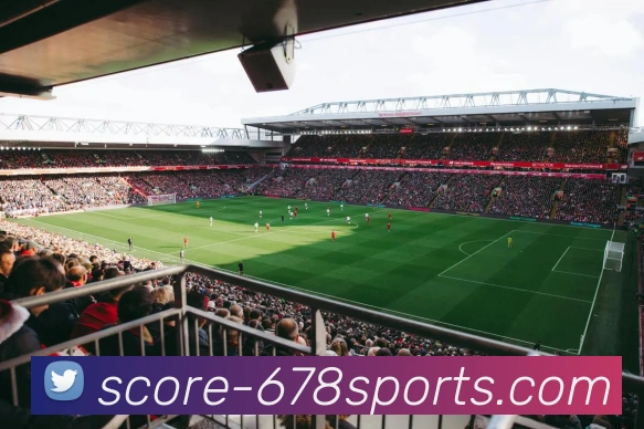 678体育平台APP 封面图